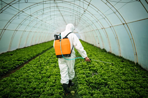 Best Pest Prevention Services  in Statham, GA