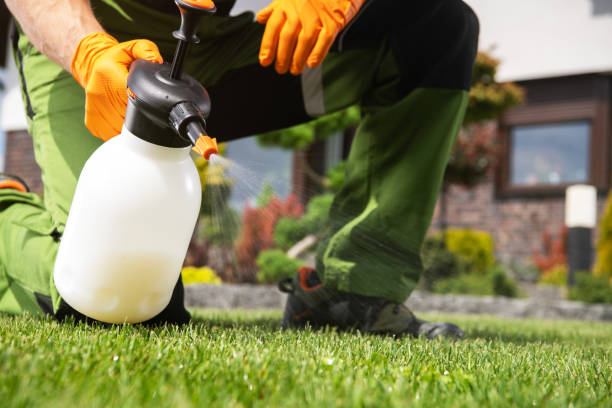 Best Wildlife Control Services  in Statham, GA