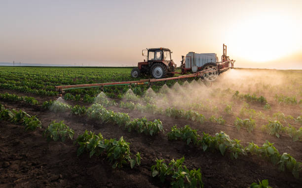 Best Mosquito Control Services  in Statham, GA