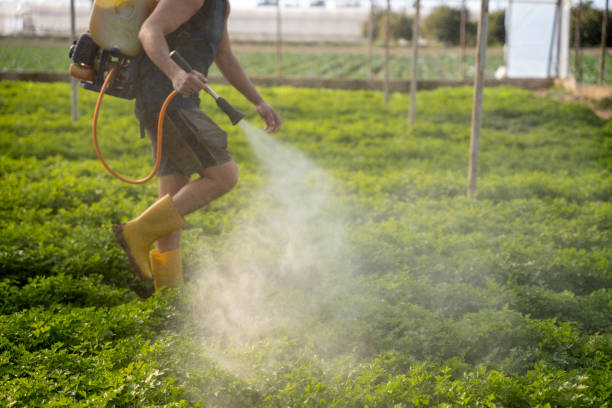 Wasp Removal Services in Statham, GA