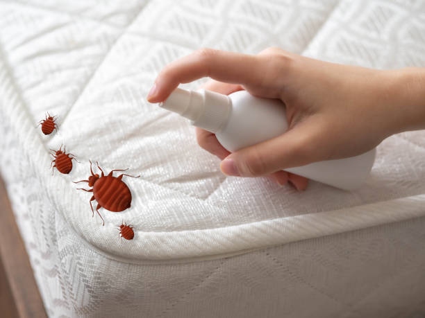 Best Emergency Pest Control  in Statham, GA