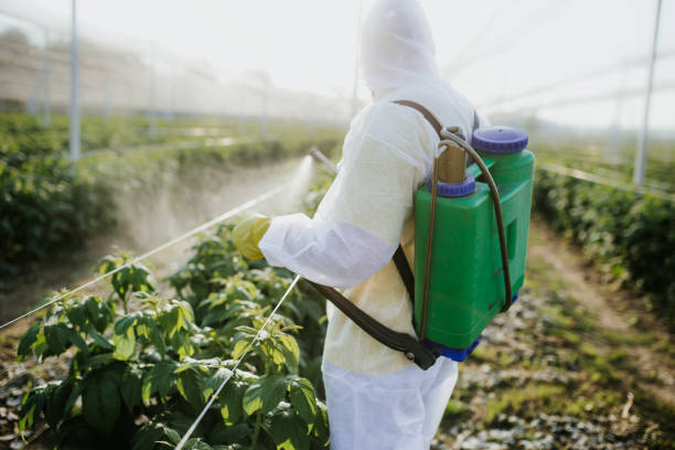 Best Flea Control Services  in Statham, GA